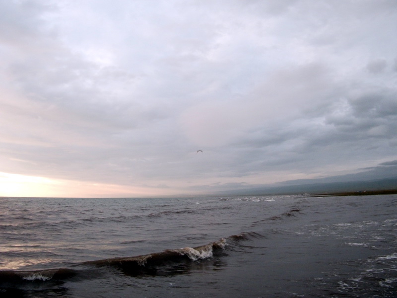 dscf0549.jpg