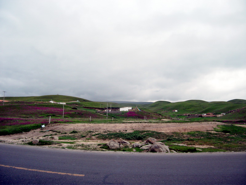 dscf0582.jpg