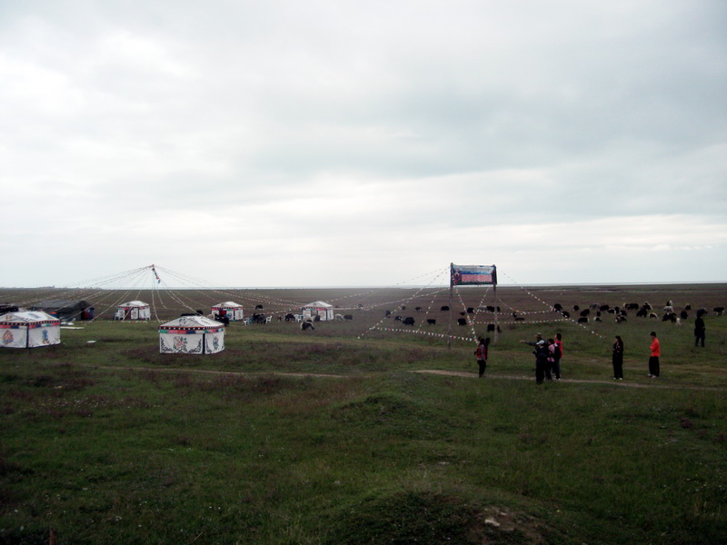 dscf0590.jpg