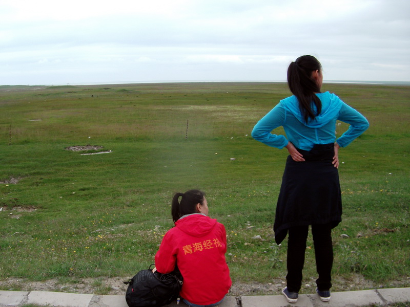 dscf0595.jpg