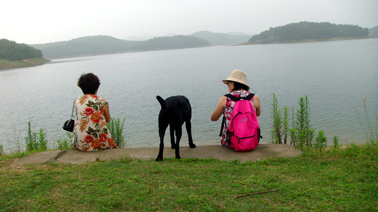 dsc00602_.jpg