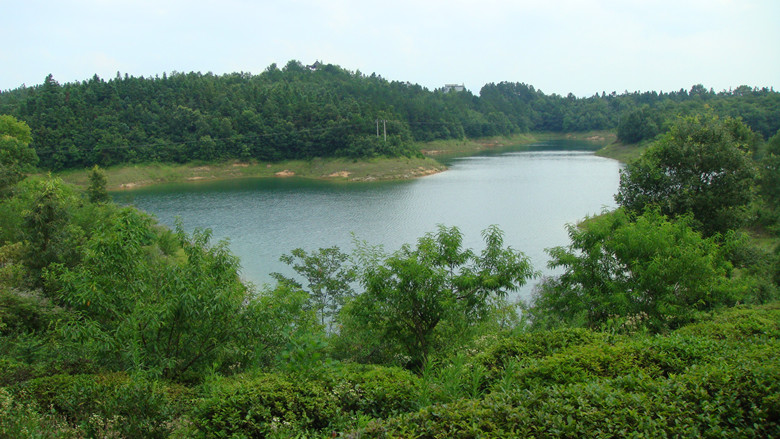dsc00539_.jpg