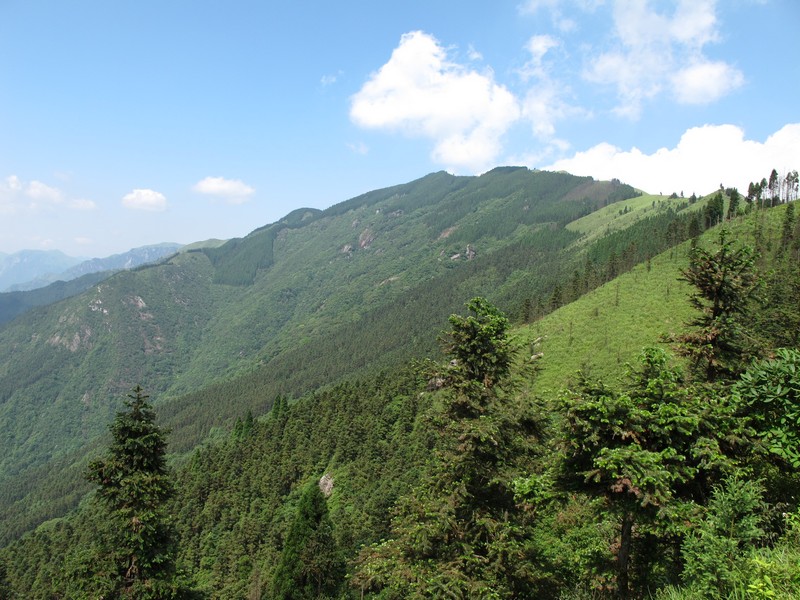 simg_0512.jpg