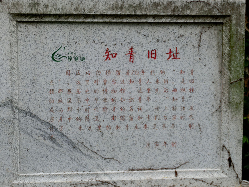 cimg3369.jpg