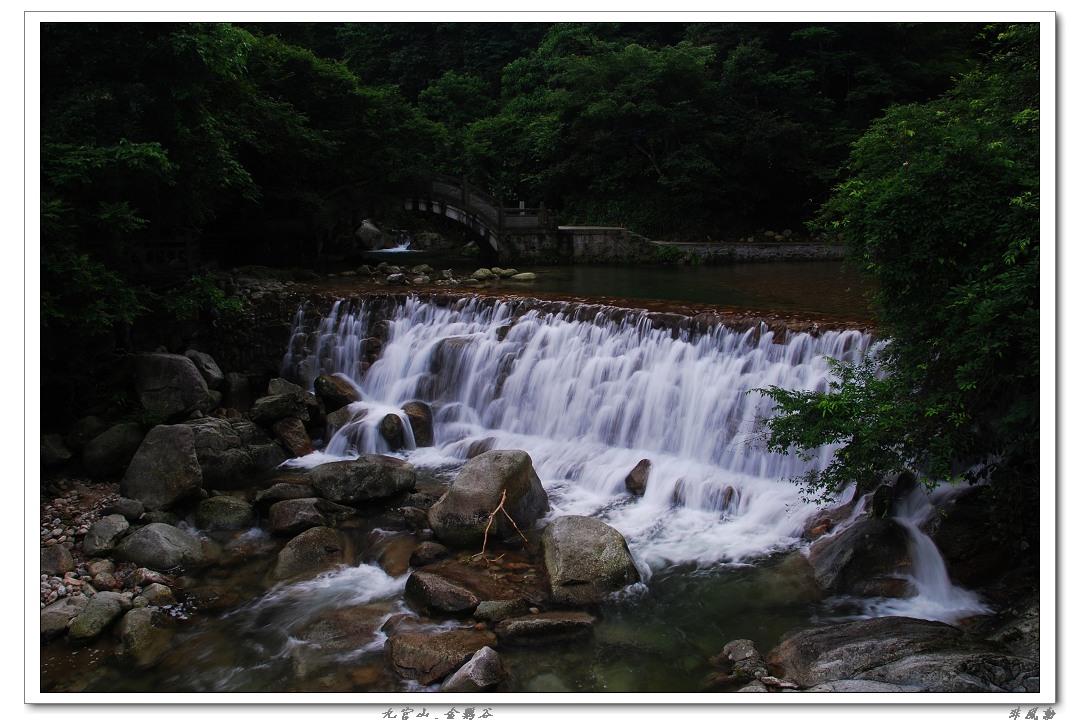 dsc_5967_neo_img.jpg