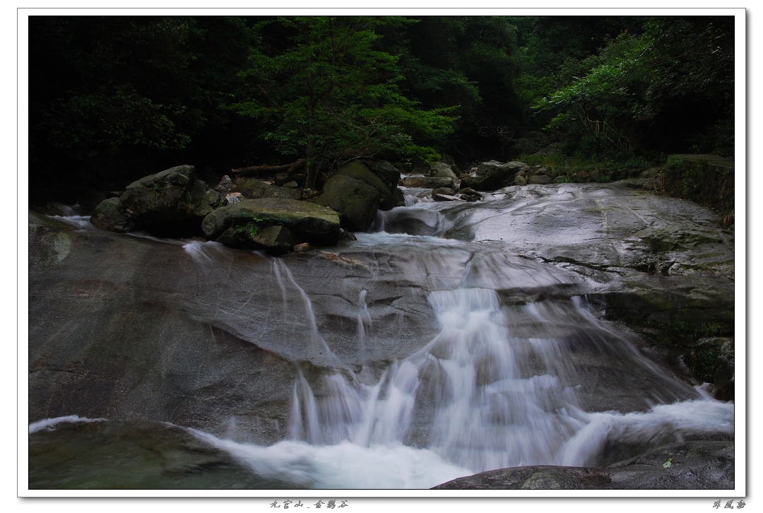 dsc_5998_neo_img.jpg