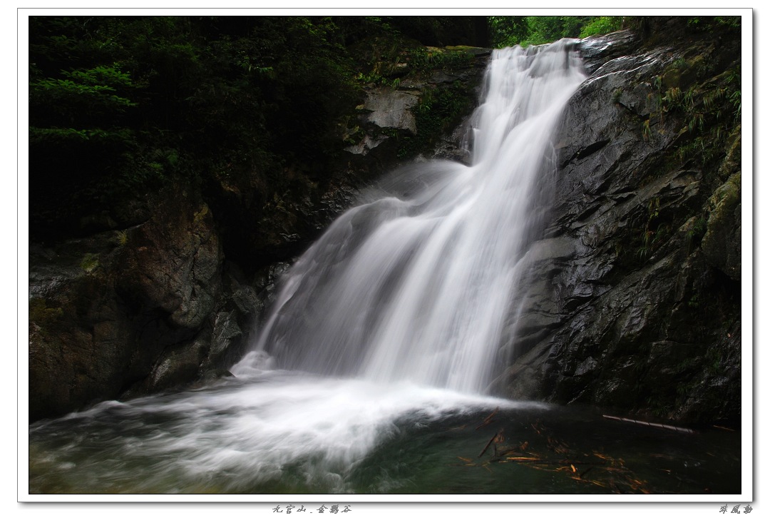 dsc_6006_neo_img.jpg