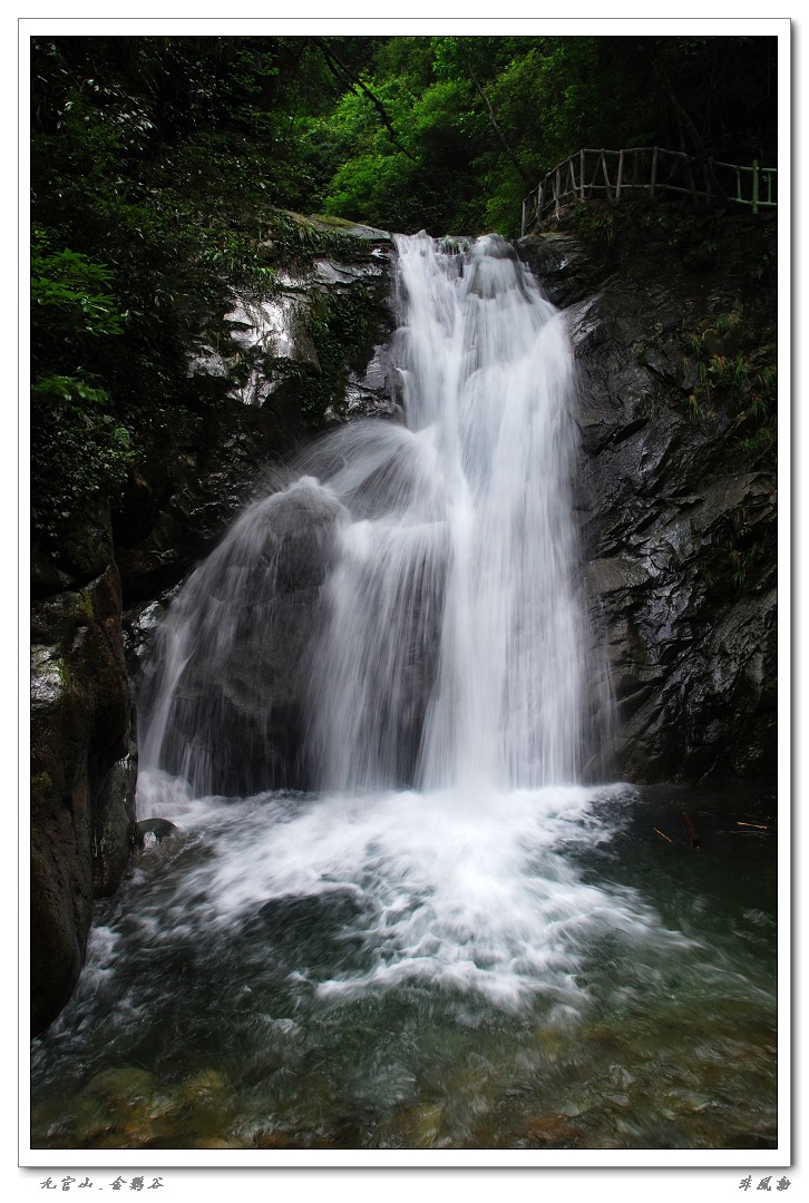 dsc_6009_neo_img.jpg