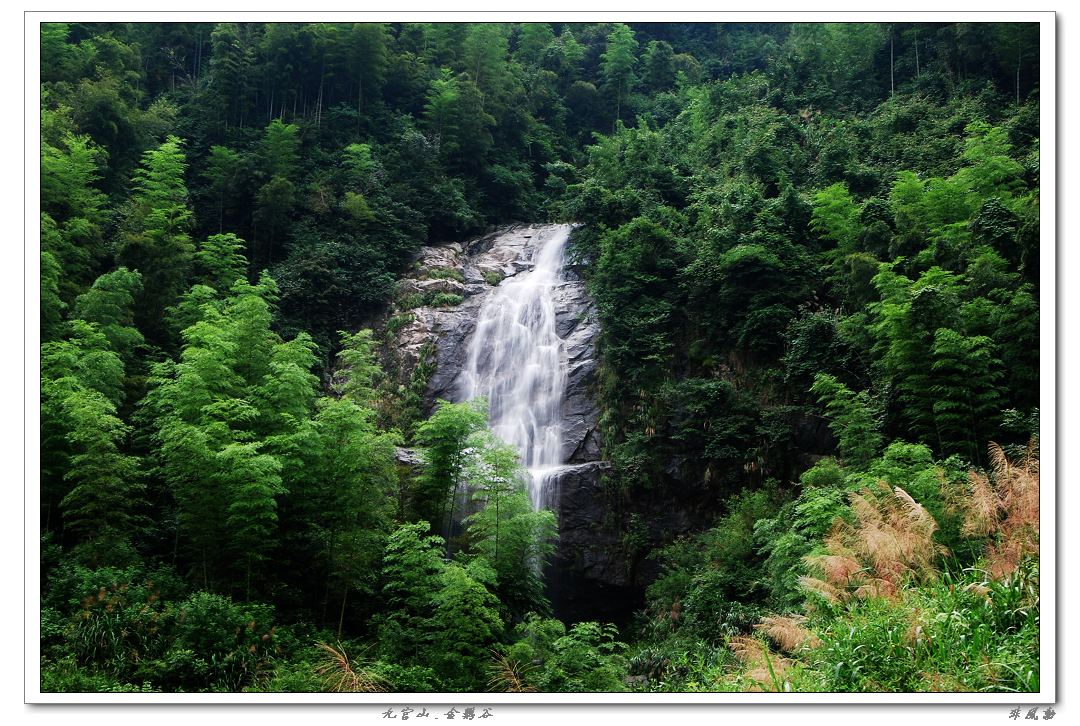 dsc_6060_neo_img.jpg