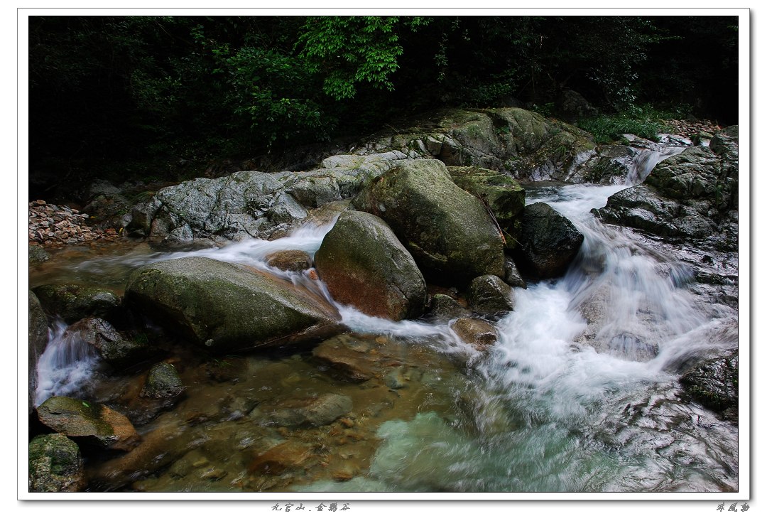 dsc_5987_neo_img.jpg