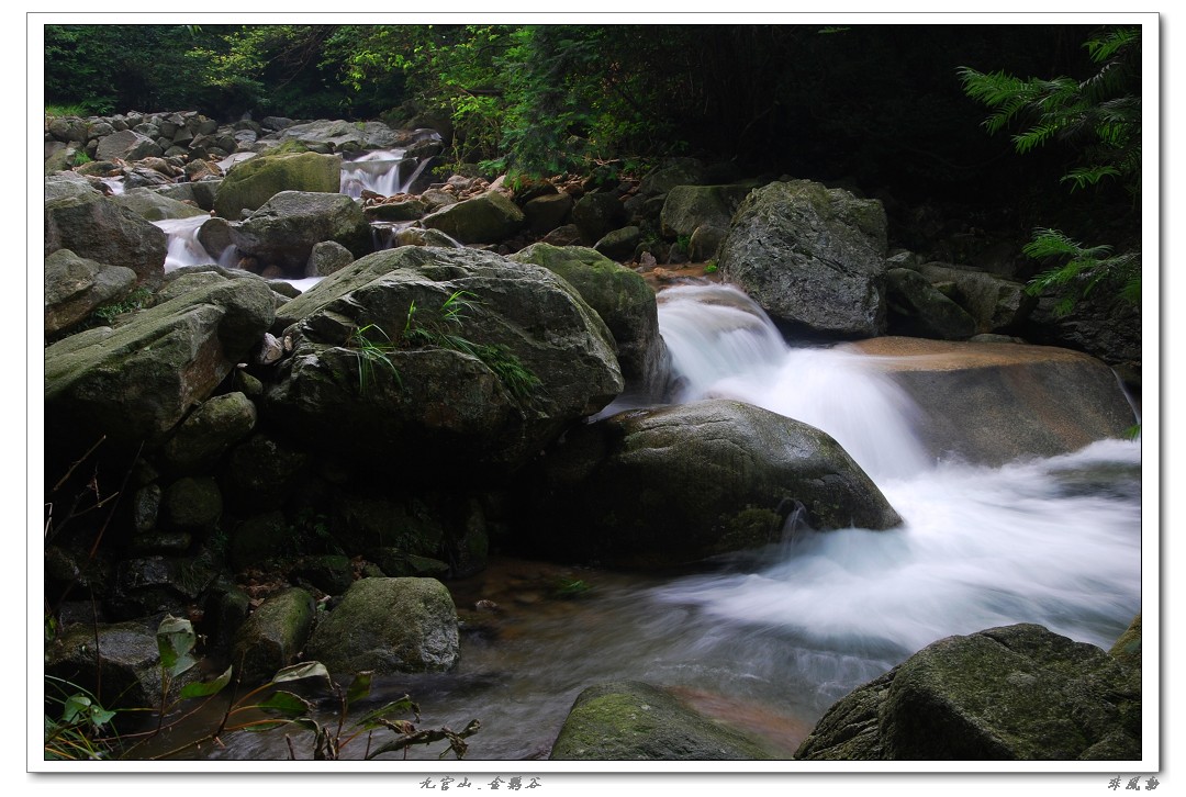 dsc_5992_neo_img.jpg
