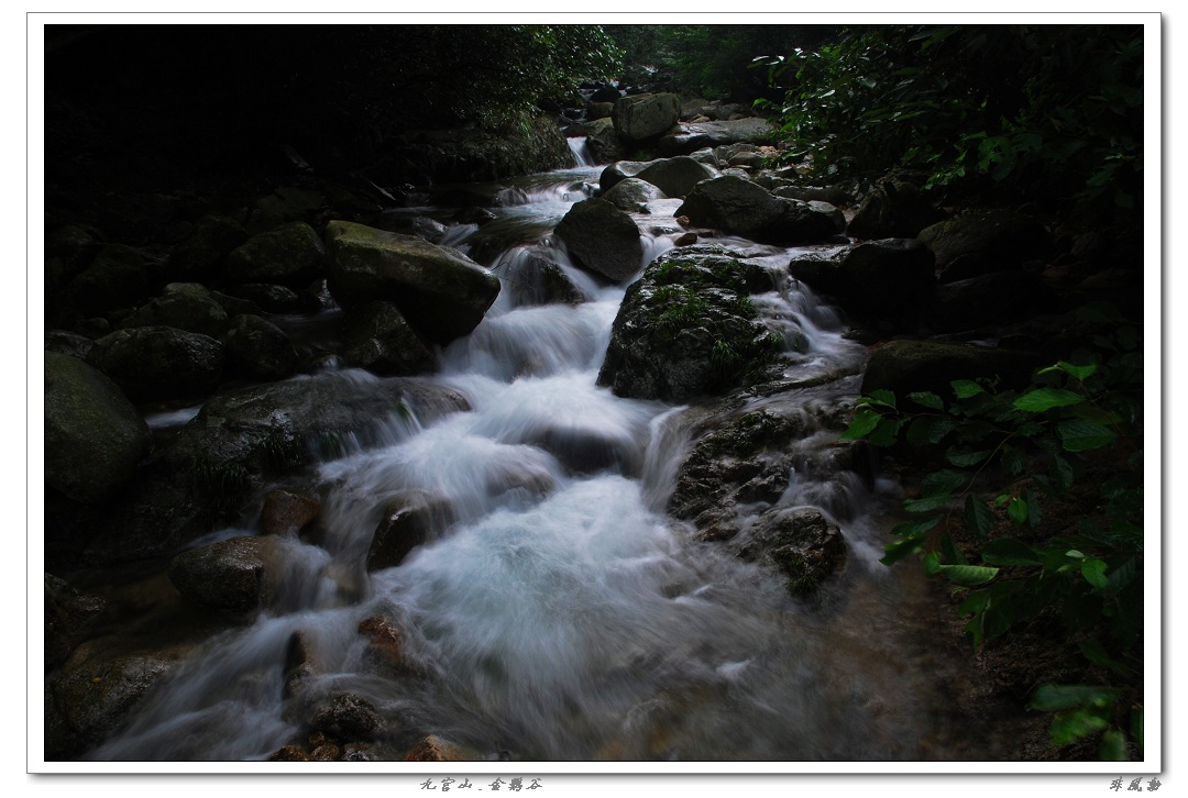 dsc_5991_neo_img.jpg