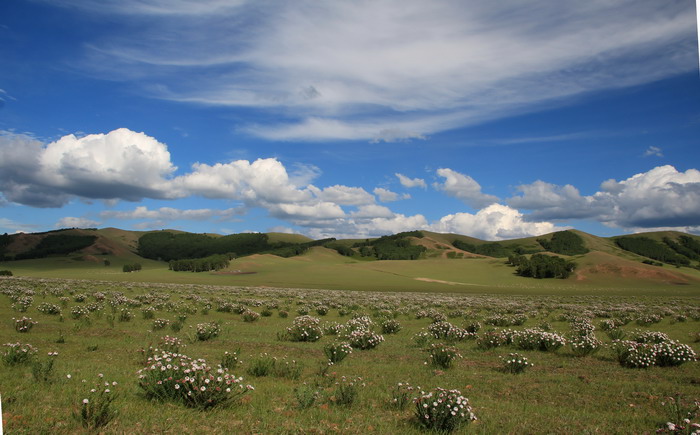 img_8154_СС.jpg