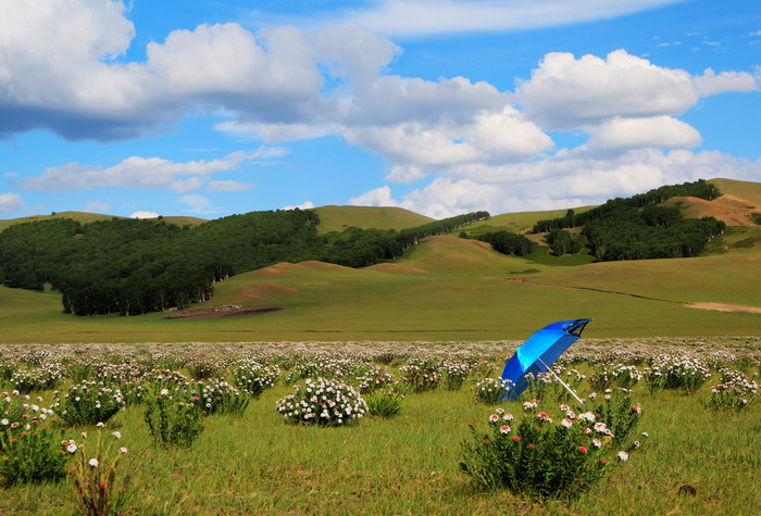 img_8162_СС.jpg