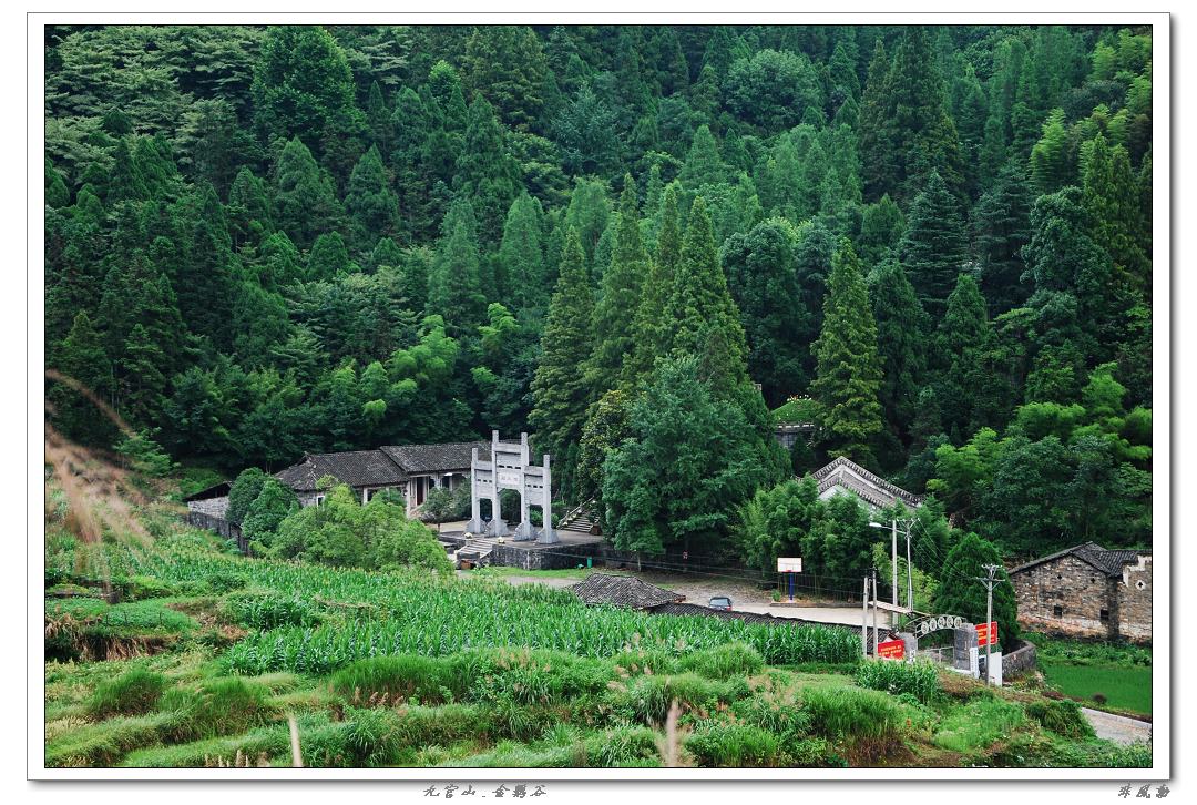 dsc_6016_neo_img.jpg