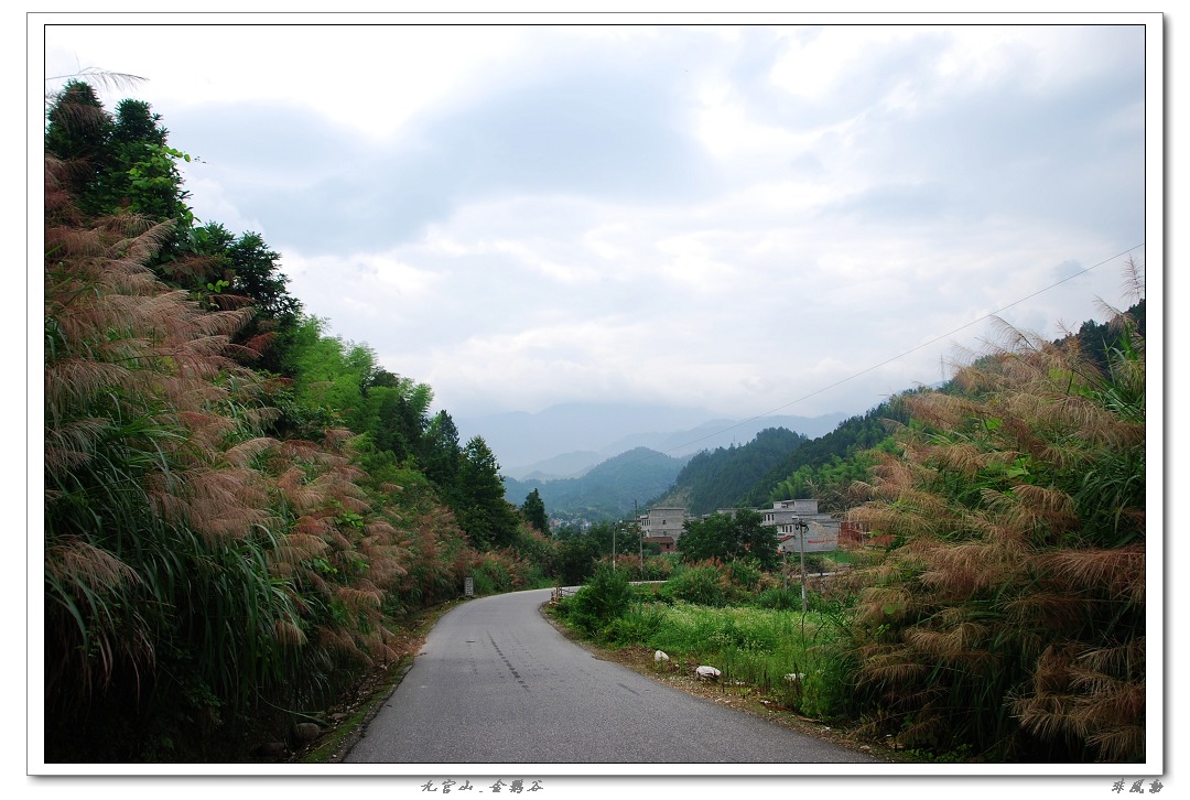 dsc_5868_neo_img.jpg
