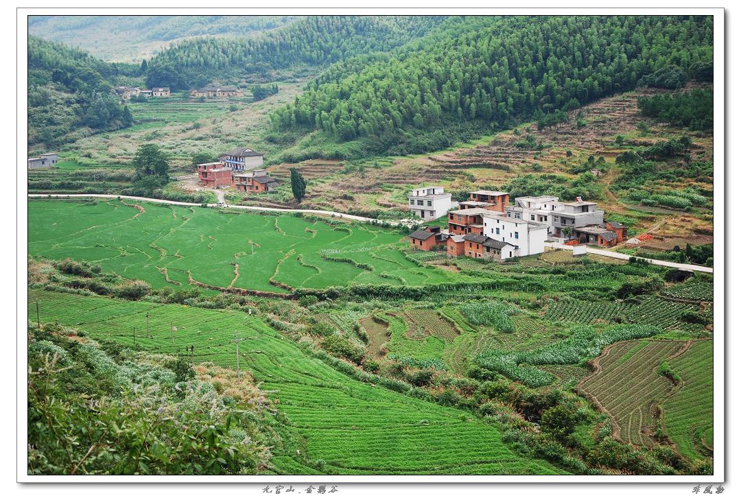dsc_5899_neo_img.jpg