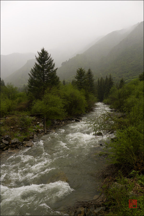 p1010494.jpg