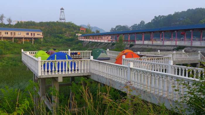 p1130372_.jpg