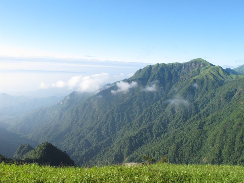 simg_0786.jpg