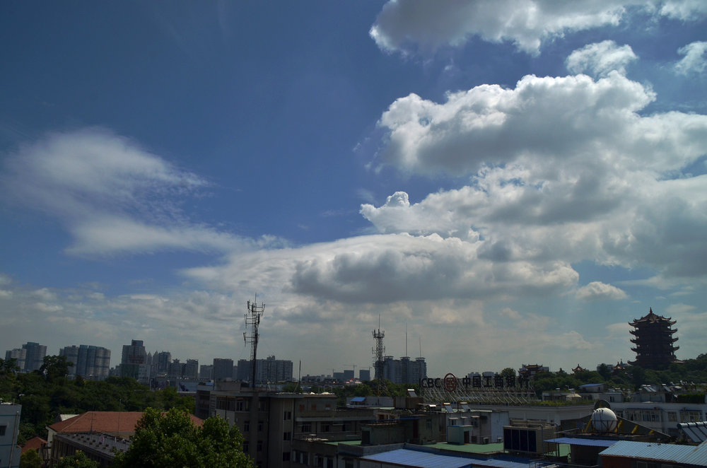 dsc_4289.jpg