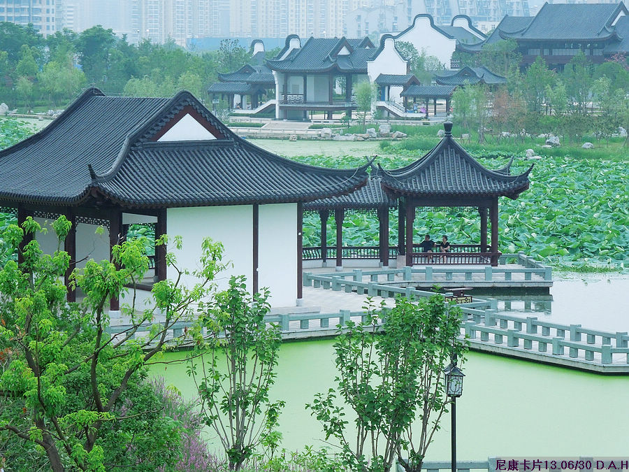 dscn0808.jpg