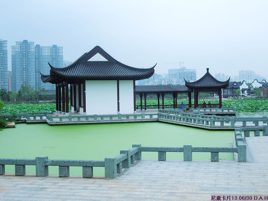 dscn0815.jpg