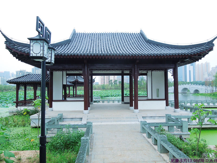 dscn0820.jpg