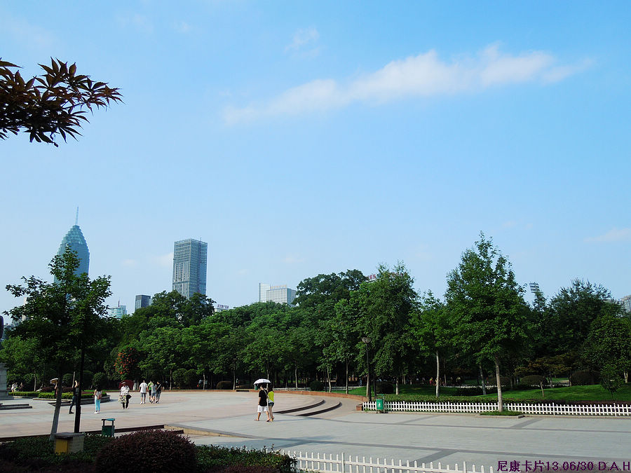 dscn0873.jpg