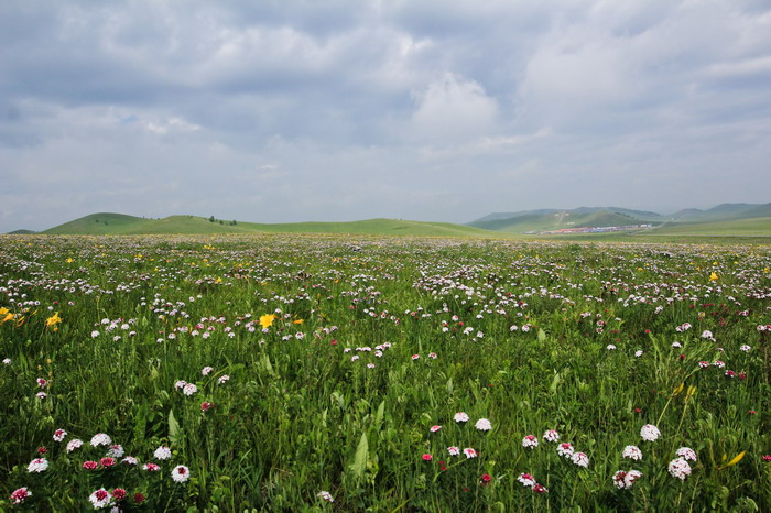 img_9463_СС.jpg