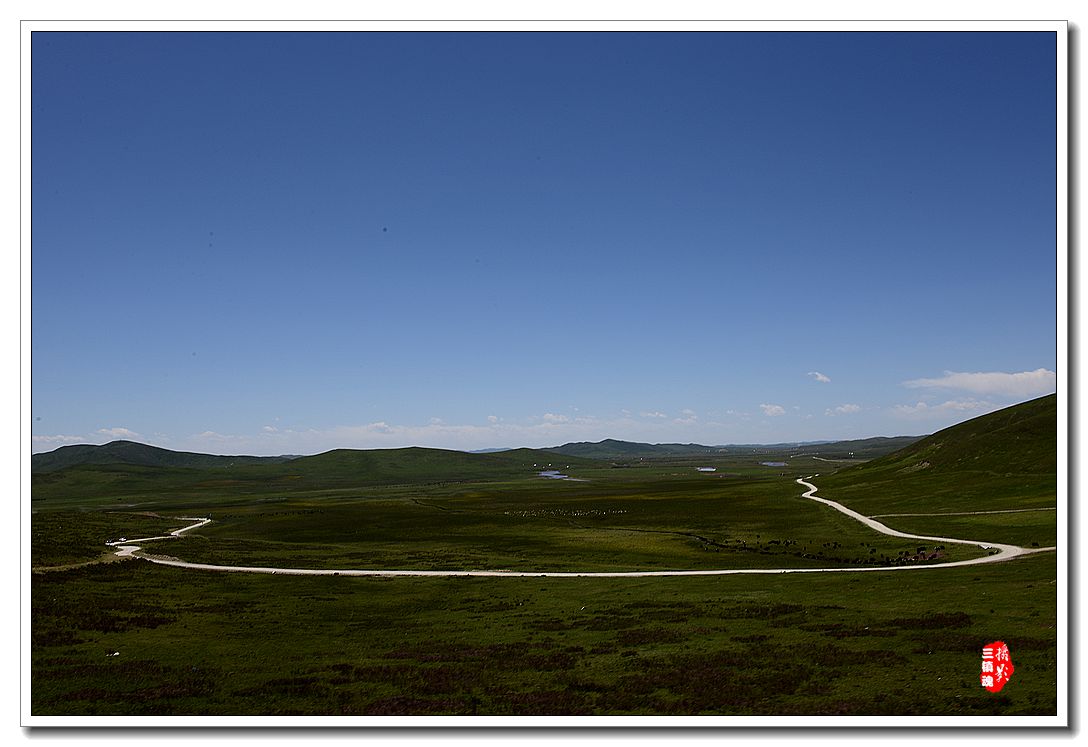dsc_0525_.jpg