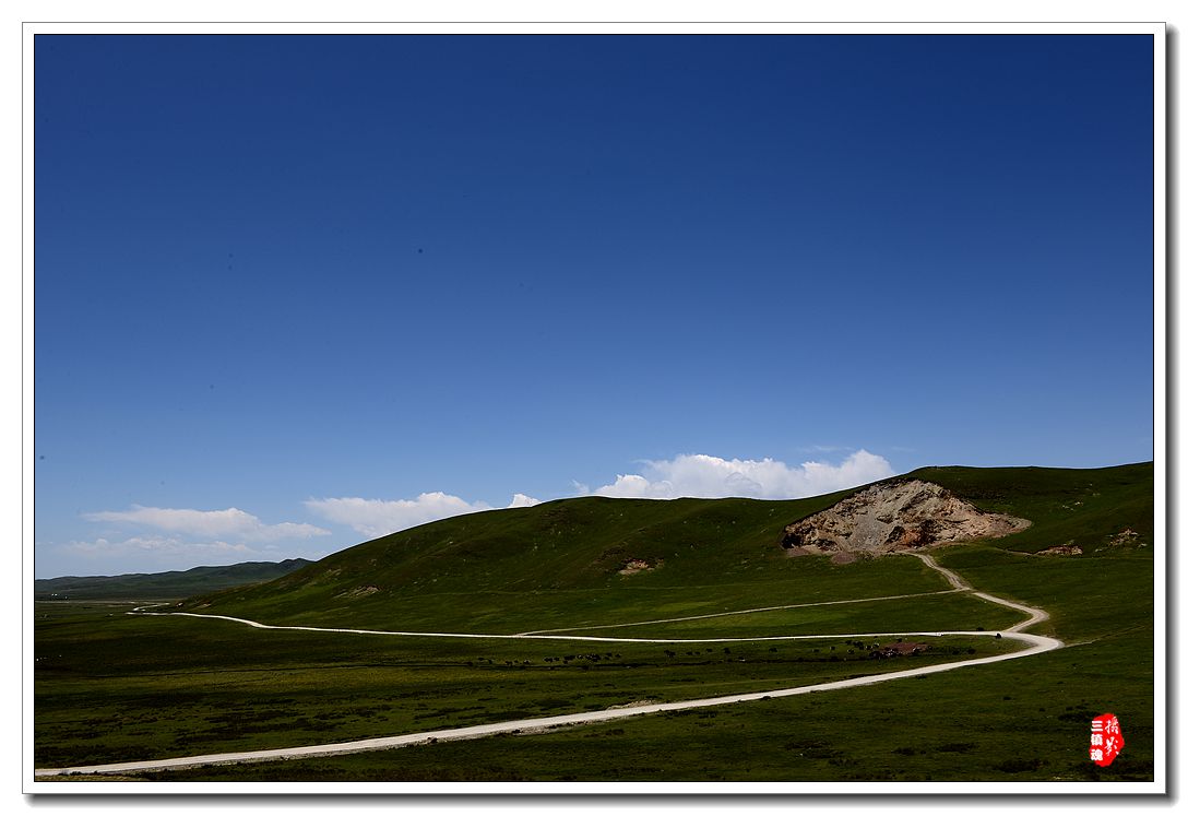 dsc_0527_.jpg