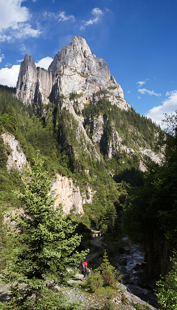 dsc09805.jpg