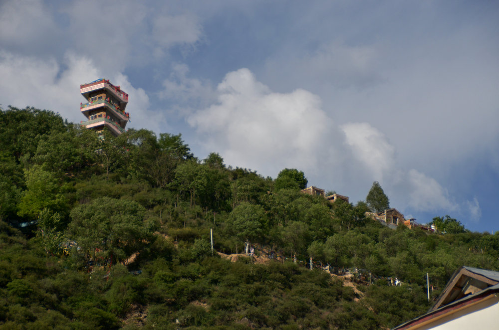 dsc_4378.jpg
