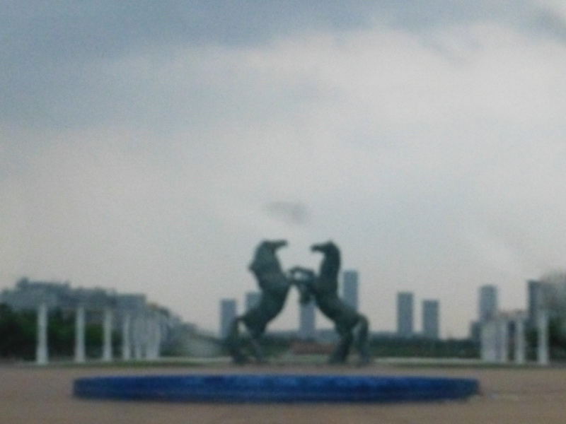 p1080842.jpg