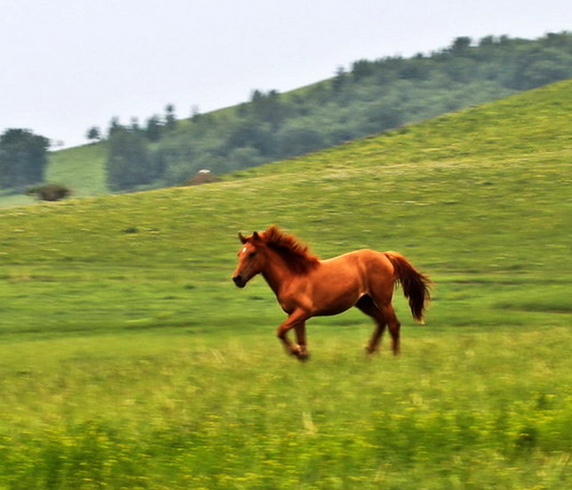 img_9376_СС_СС.jpg