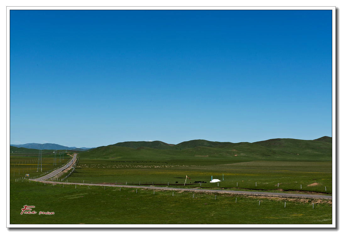 dsc_0965.jpg