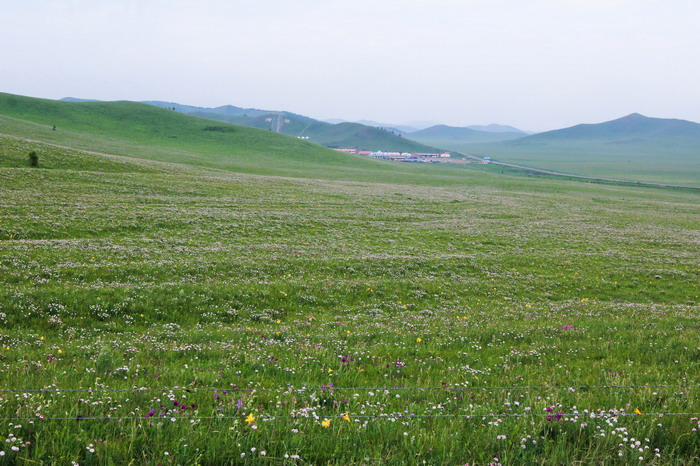 img_9615_СС.jpg