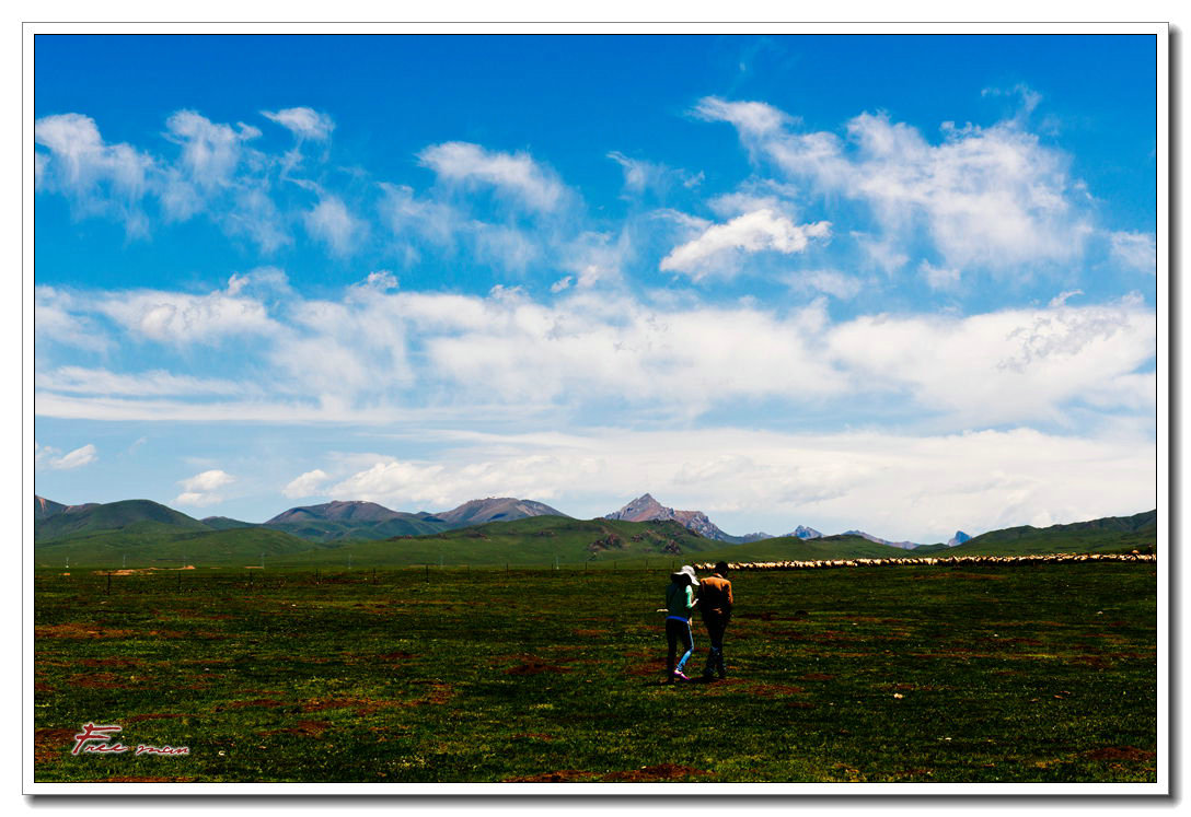 dsc_0975.jpg
