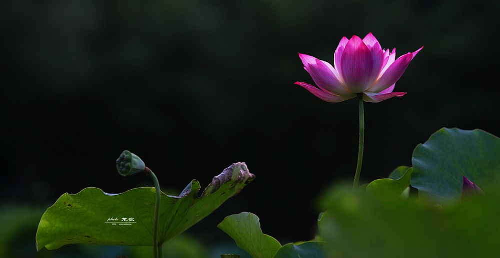 img_9361_.jpg