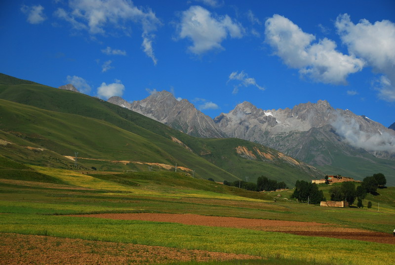dsc_4424.jpg
