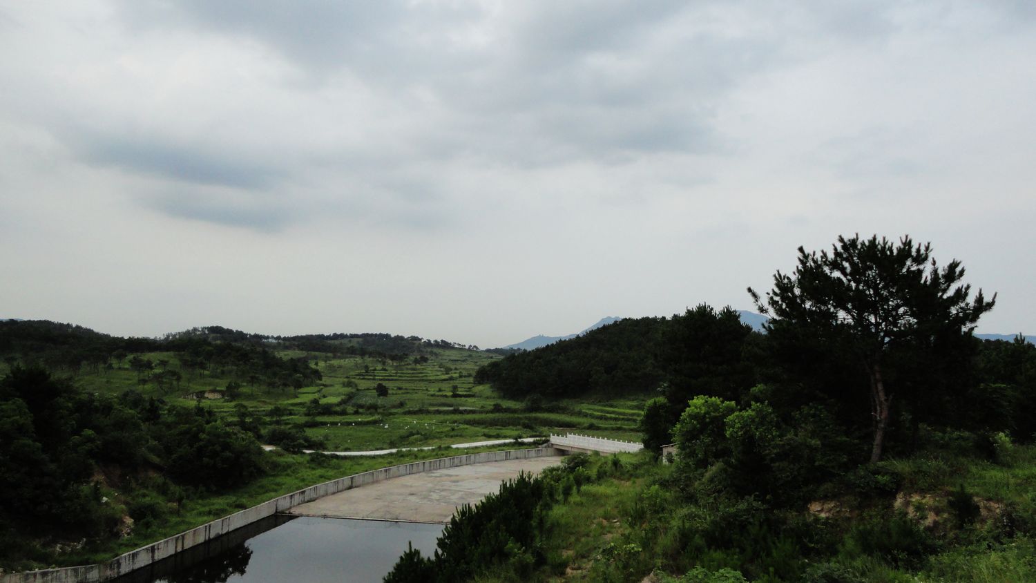 neo_img_dsc05268.jpg