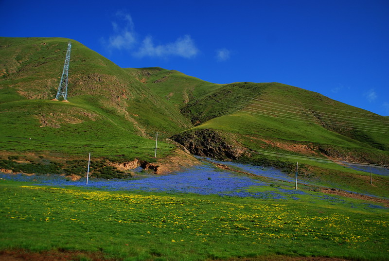 dsc_4967.jpg