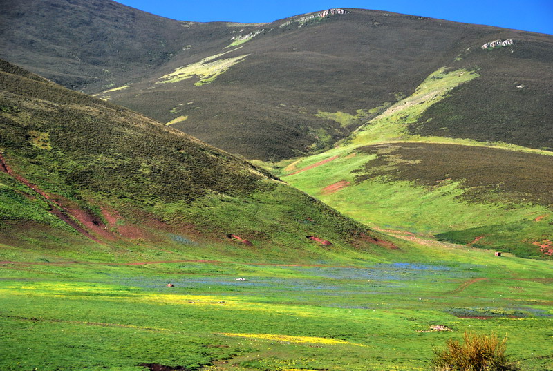 dsc_4976.jpg