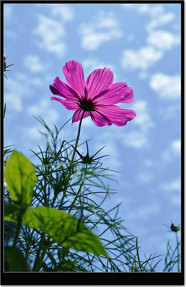 dsc_6497.jpg