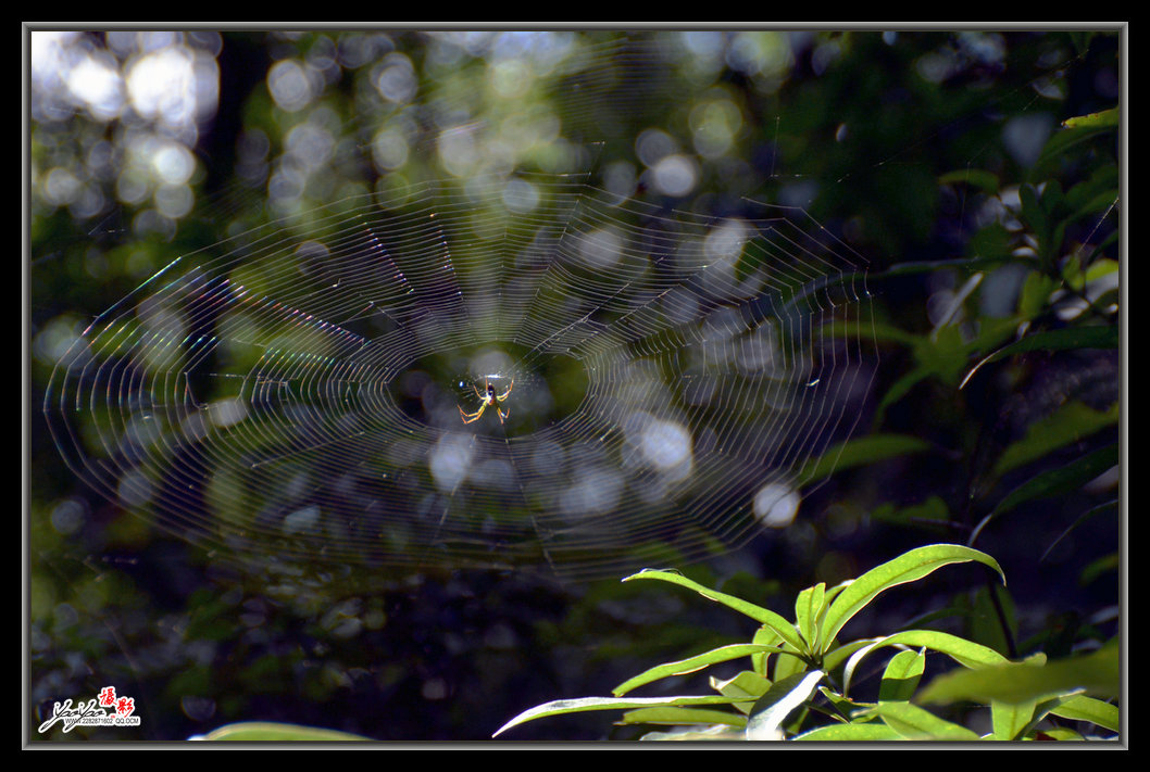 dsc_6622.jpg