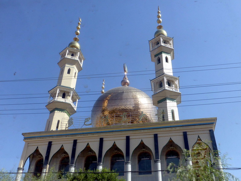 p1090816.jpg