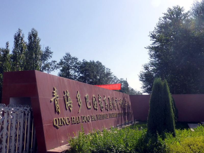 p1090820.jpg