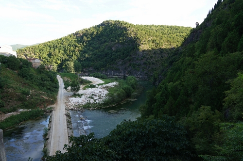neo_img_dsc03544.jpg