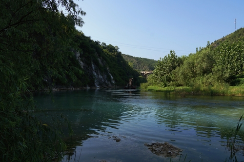 neo_img_dsc03707.jpg